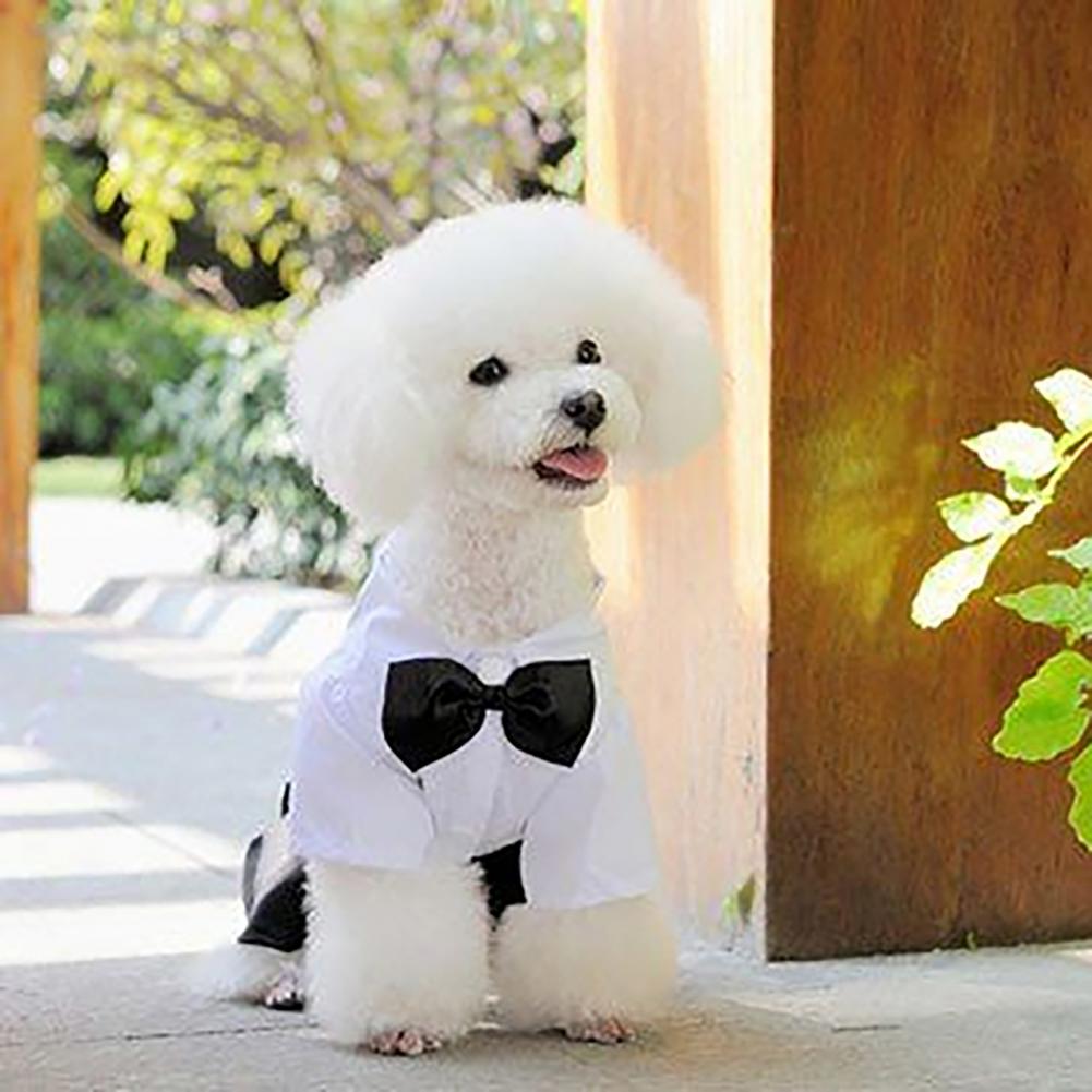 Summer Dog Clothing - 강아지 활 넥타이 슈트 턱시도 코스튬