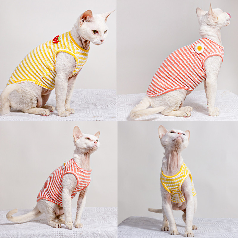 스핑크스 고양이 의류를위한 여름 티셔츠 부드러운 반팔  - Soft Summer Yellow Clothing 리뷰 및 가격