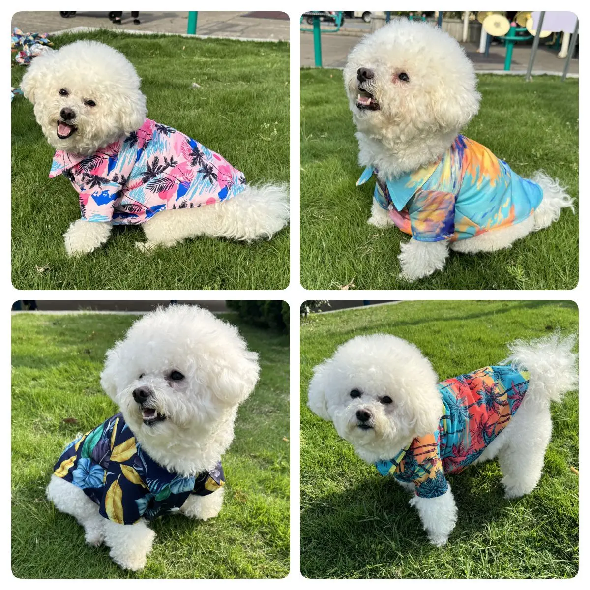 하와이안 셔츠 애완동물 해변 의류 (강아지와 고양이용) - Summer Dog Clothing 리뷰 및 가격