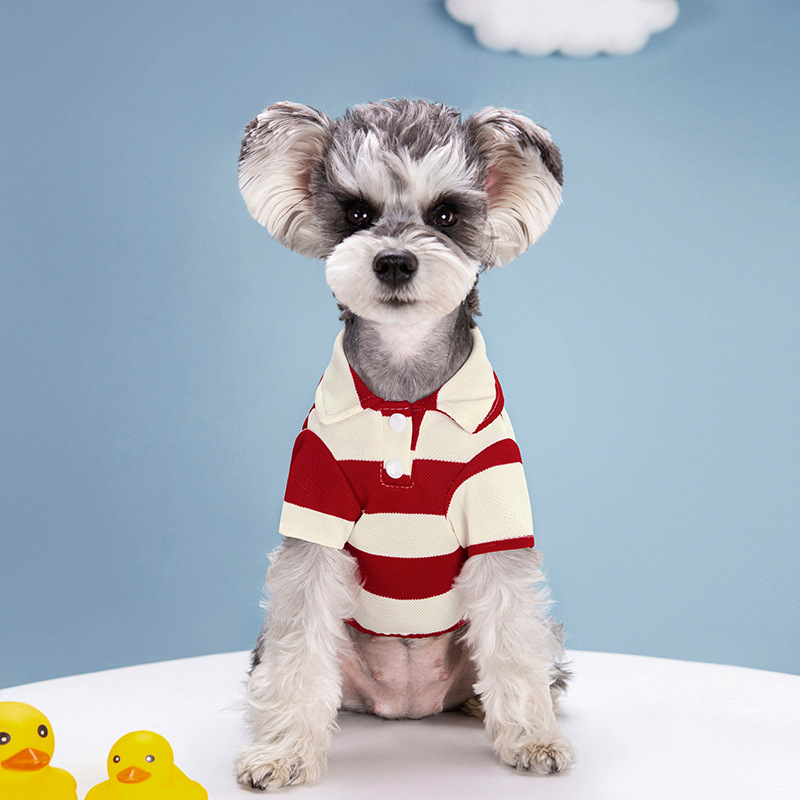 애완견 폴로 셔츠 여름 강아지 옷 소형 대형견 고양이용 - Summer Dog Clothing 리뷰 및 가격