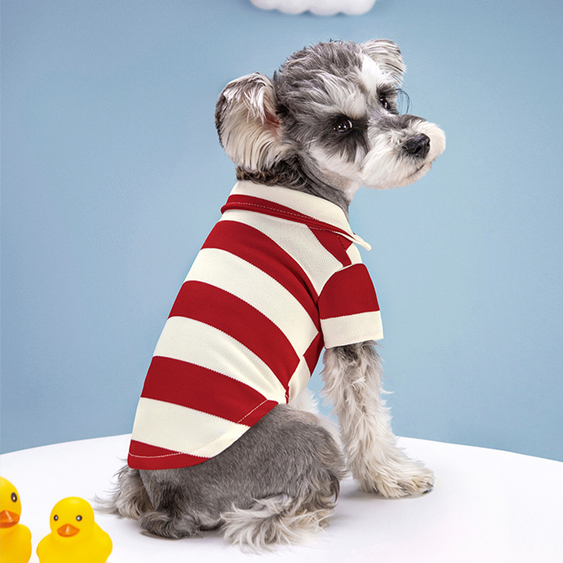 애완견 폴로 셔츠 여름 강아지 옷 소형 대형견 고양이용 - Summer Dog Clothing 리뷰 및 가격