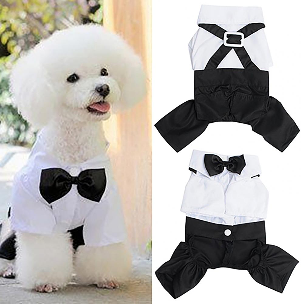 강아지 활 넥타이 슈트 턱시도 코스튬 포멀 셔츠, 스트 - Summer Dog Clothing 리뷰 및 가격