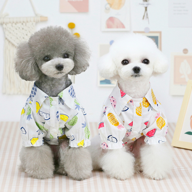 새로운 봄 여름 애완견 고양이 옷, 귀여운 파인애플 프 - Summer Dog Clothing 리뷰 및 가격