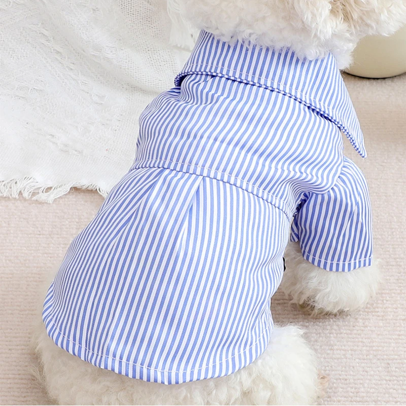 나비매듭 스트라이프 셔츠, 얇은 여름 패션, 치와와 스 - Summer Dog Clothing 리뷰 및 가격